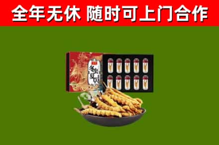 拜城回收冬虫夏草价格