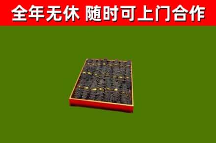 拜城回收海参